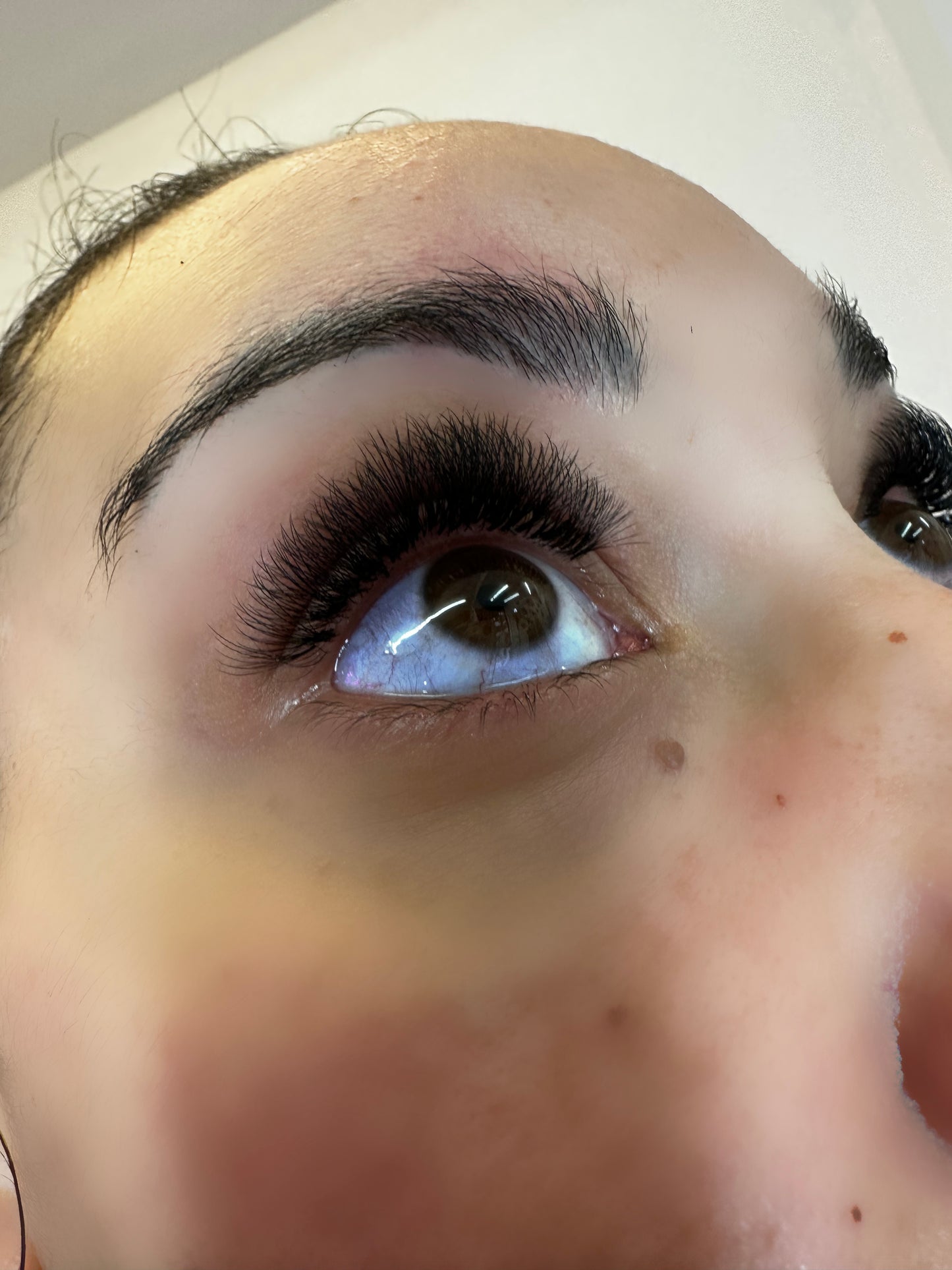 0.07 Volume Lashes
