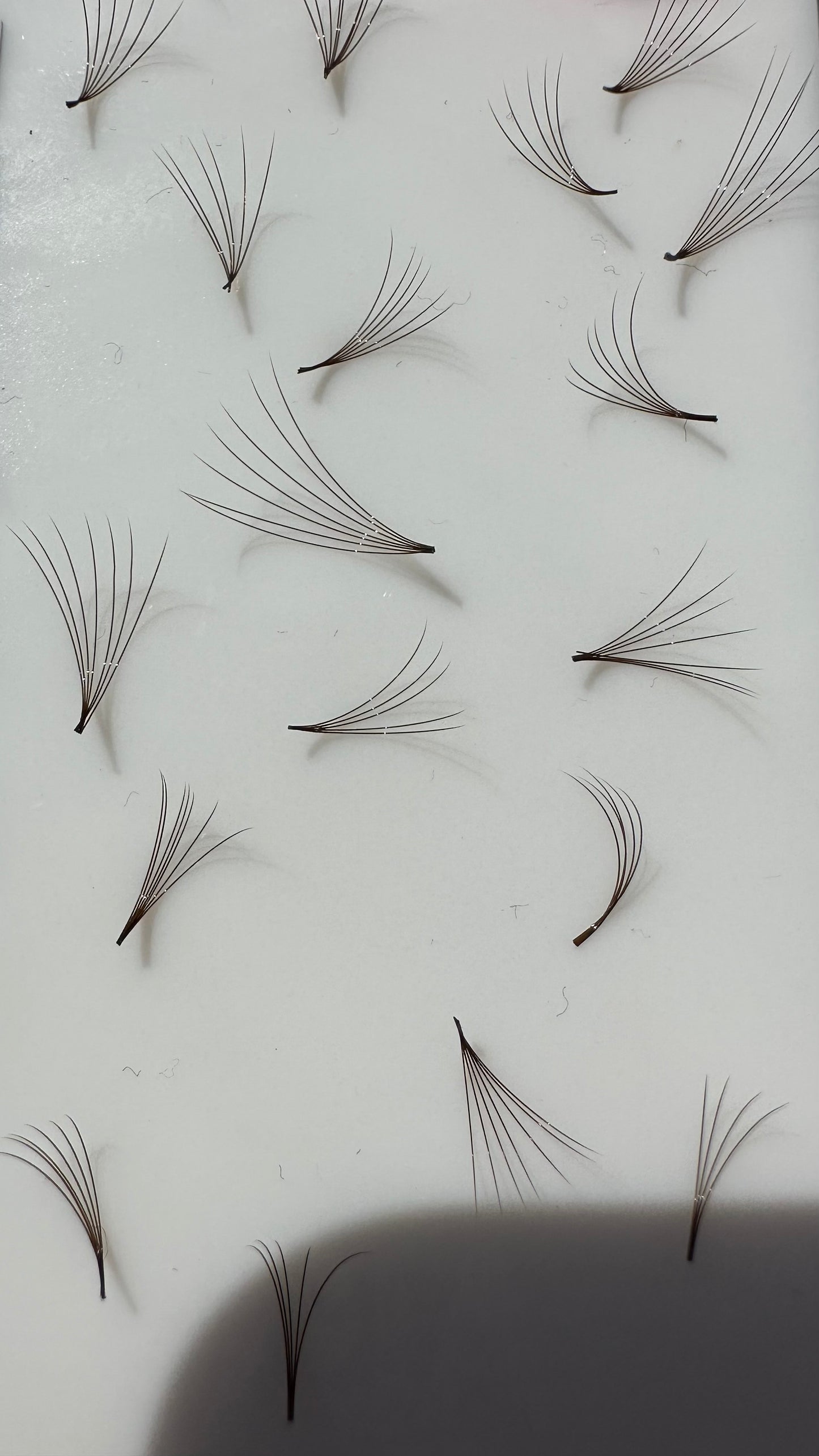 0.07 Volume Lashes